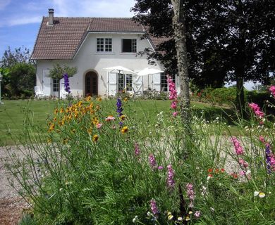 Einzigartiges Haus im Grünen