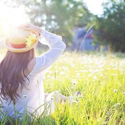 Gartenarbeit: Was jetzt zu tun ist