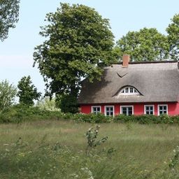 Luxuriöses Reetdachhaus